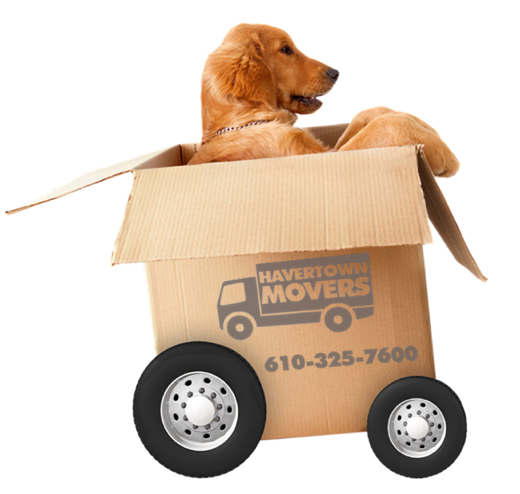 Moving-Dog